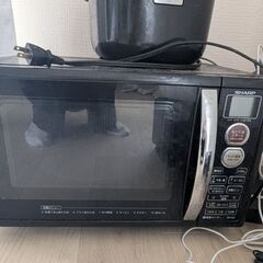 電子レンジ　炊飯器