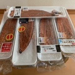 うなぎのバカ焼き