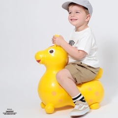 交渉中【RODY】ロディ バランスボールトイ の画像