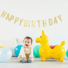 交渉中【RODY】ロディ バランスボールトイ の画像