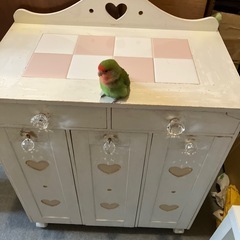 引き出し付きゴミ箱