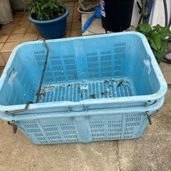 サンテナー２個セット