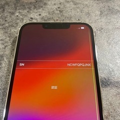 Apple iPhone13Pro シルバー SIMフリー ジャンク品 (BB) 瀬戸口