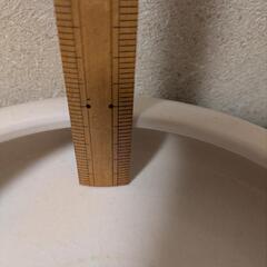 水盤の画像