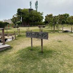 毎日ルーティン🌞太陽礼拝ヨガの画像