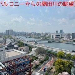 💞曳舟駅徒歩10分💕2路線利用可💞最上階角部屋！南西向き💞日当たり・眺望良好💞スカイツリーや隅田川花火大会も観覧できます💞生活環境充実💕ペット可🐶 − 東京都