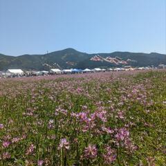5月25日日曜日♡フリーマーケット開催♡