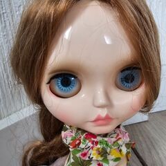 アイシードールの画像