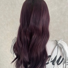 限定メニュー