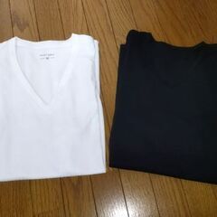 Tシャツ2枚 メッシュ素材