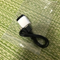USB ACアダプター PT-WC-13 デジカメ用の画像