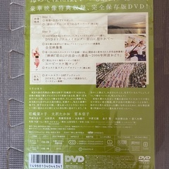 封入特典付き 眉山のDVDの画像