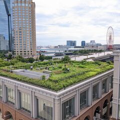 有明rooftopコモンズ/Edible Tokyo Ra…