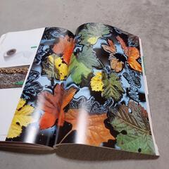 写真集ベネトン中古品の画像