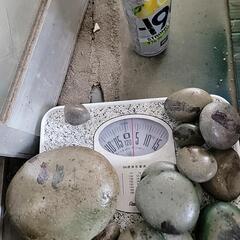 色付き石の画像