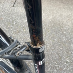 【あげます】20インチ折りたたみ自転車の画像