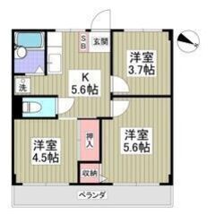 💚💛初期費用5万円パック＆フリーレント1ヶ月付き💛💚敷礼ゼ…
