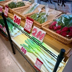 100円若松旬野菜‼️朝採り新玉ねぎ‼️ 1玉100円‼️ 野菜 の画像