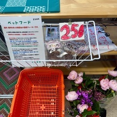100円若松旬野菜‼️朝採り新玉ねぎ‼️ 1玉100円‼️ 野菜 の画像