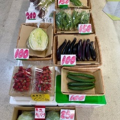 100円若松旬野菜‼️朝採り新玉ねぎ‼️ 1玉100円‼️ 野菜 の画像