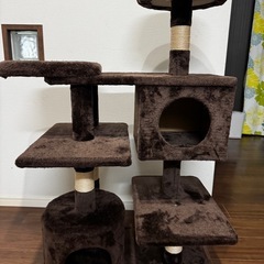 キャットタワー