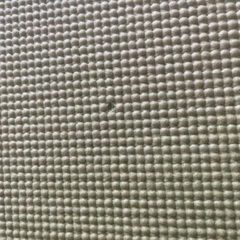 ヨガマットの画像