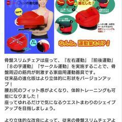 骨盤スリムチェアの画像
