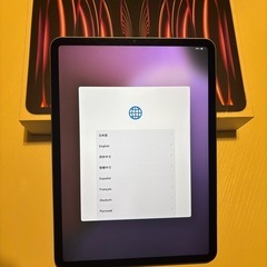 美品iPadℙ𝕣𝕠11インチ第4世代 WiFi  256GB