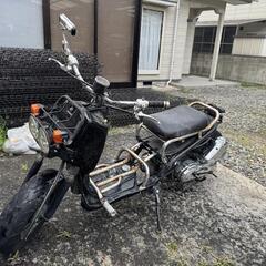 ホンダ   ズーマー 50cc  ロンホイ