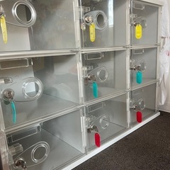 シューズロッカー　レンタルロッカー【1200円】の画像