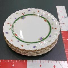 0509-151 パスタ皿　５枚セット