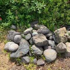 庭石の画像