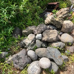 庭石の画像