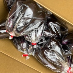 ピカピカ艶々なナス入荷しました✨