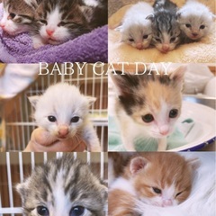 🥰babyちゃんの初お披露目会💛
