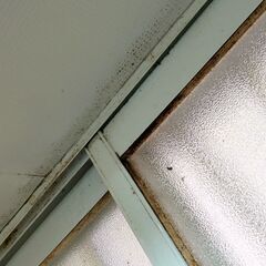 窓パッキンのカビ落とし＆すき間テープ施工