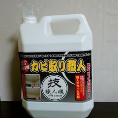 窓パッキンのカビ落とし＆すき間テープ施工 - 日光市