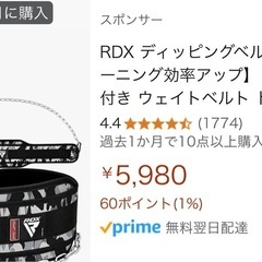 RDX製 ディッピングベルト／チェーン付きの画像