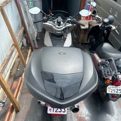 投稿分けてますの画像