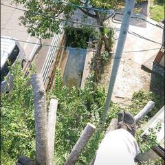 庭木の事なら私に任せて下さい！ - 小松市
