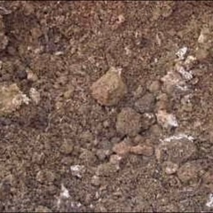 菌糸カス　畑土　腐葉土　ガーデニング　家庭菜園に　