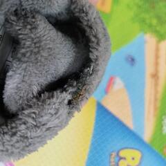 UGG 9cmの画像