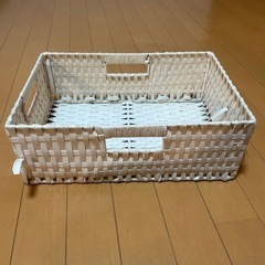 ボロボロのガゴ