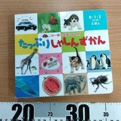 0509-432 絵本