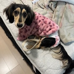 大切に育ててくれる方