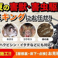 【急募！】ハチ駆除🐝作業員募集中！ 東海