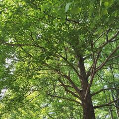 お片付け相談