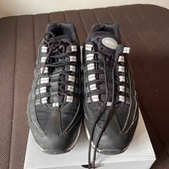 NIKEエアマックス95の画像