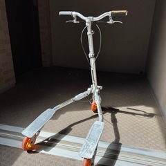 TRISKI三輪キックボード
の画像