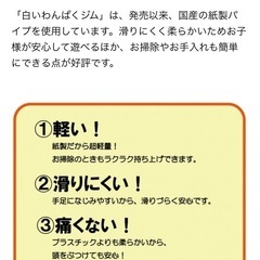 白いワンパクジム　ジャングルジムの画像